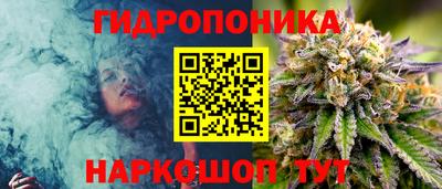 Альфа ПВП Лесосибирск