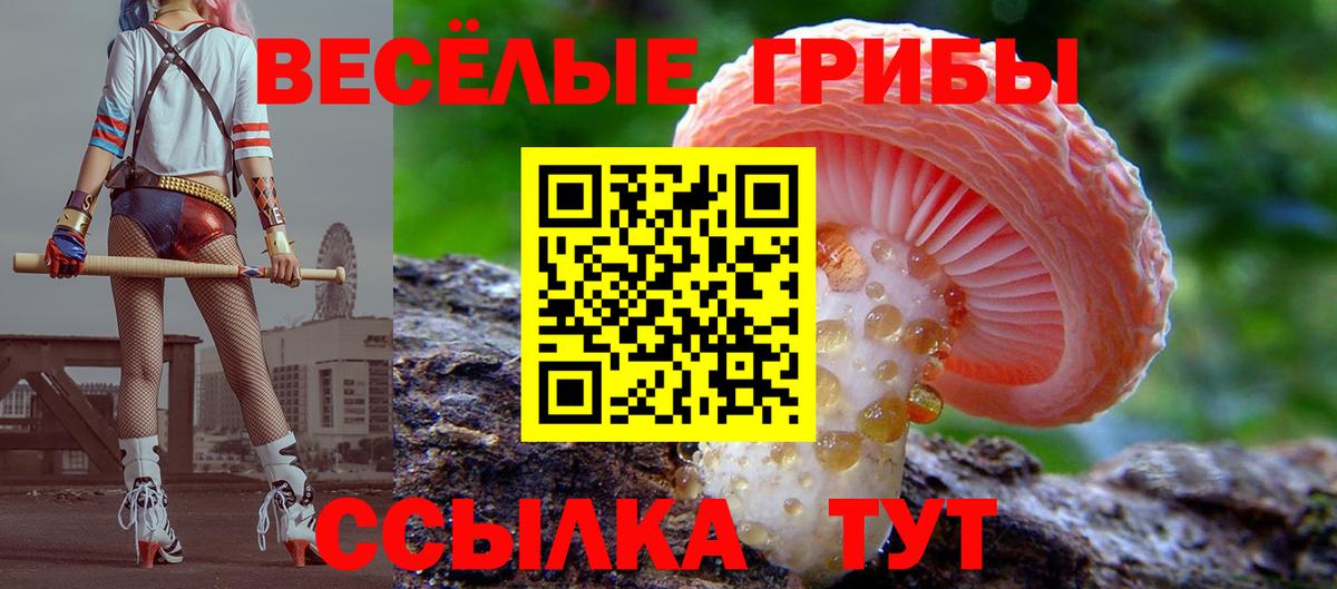 Знаменск  Галлюциногенные грибы ЛСД  Вход с VPN  Галлюциногенные грибы MAGIC MUSHROOMS 