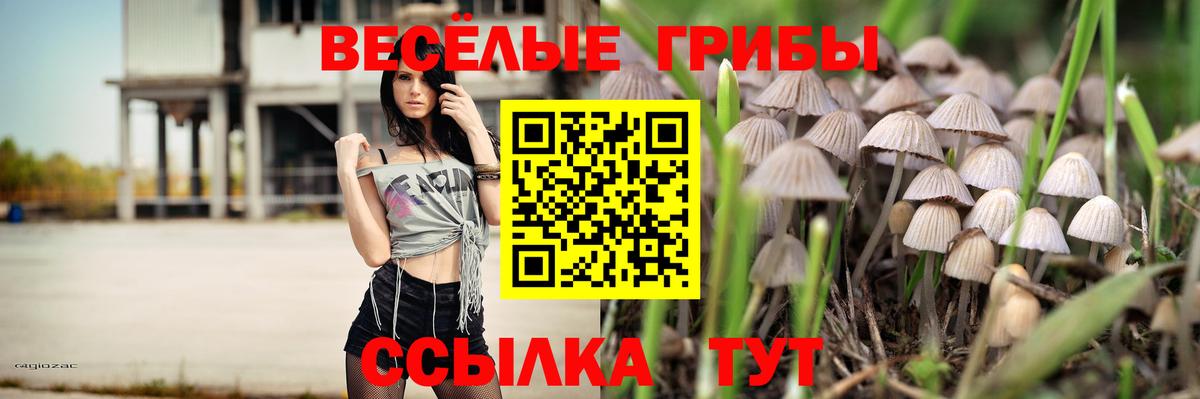 Галлюциногенные грибы прущие грибы Знаменск